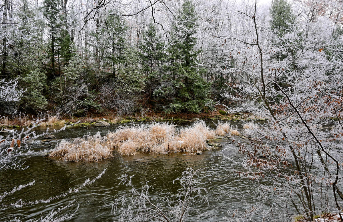 ����� ����� �� ��������� ����� �������  �� PhotoGeek.ru #������ ��� �������