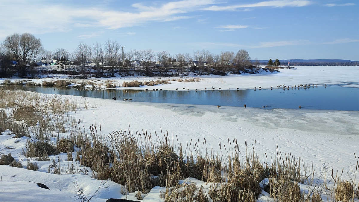 ������� � ���� ����� �������  �� PhotoGeek.ru #�������� ��� #������ ��� �������