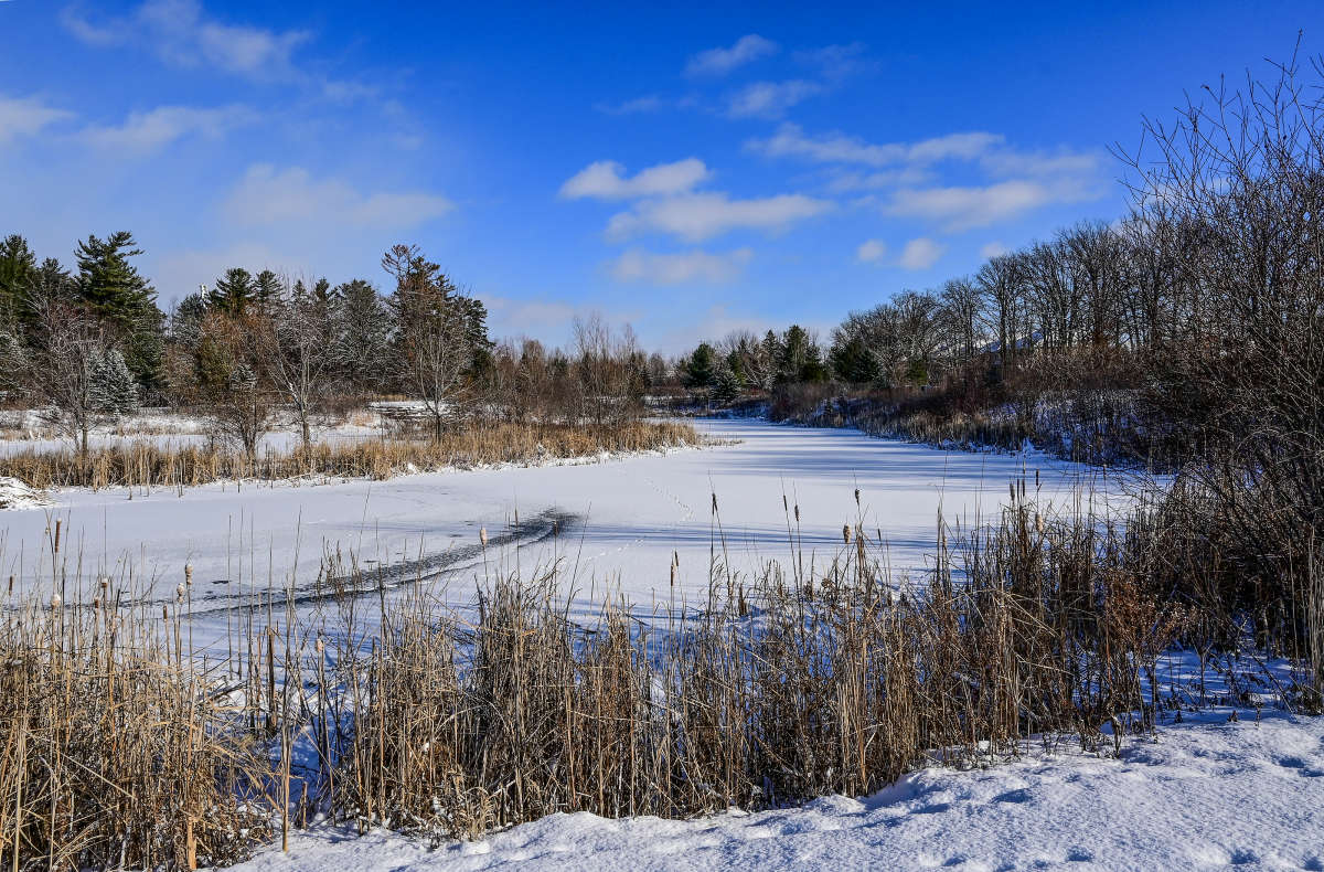 ������� ������ ����� �������  �� PhotoGeek.ru #������ ��� �������