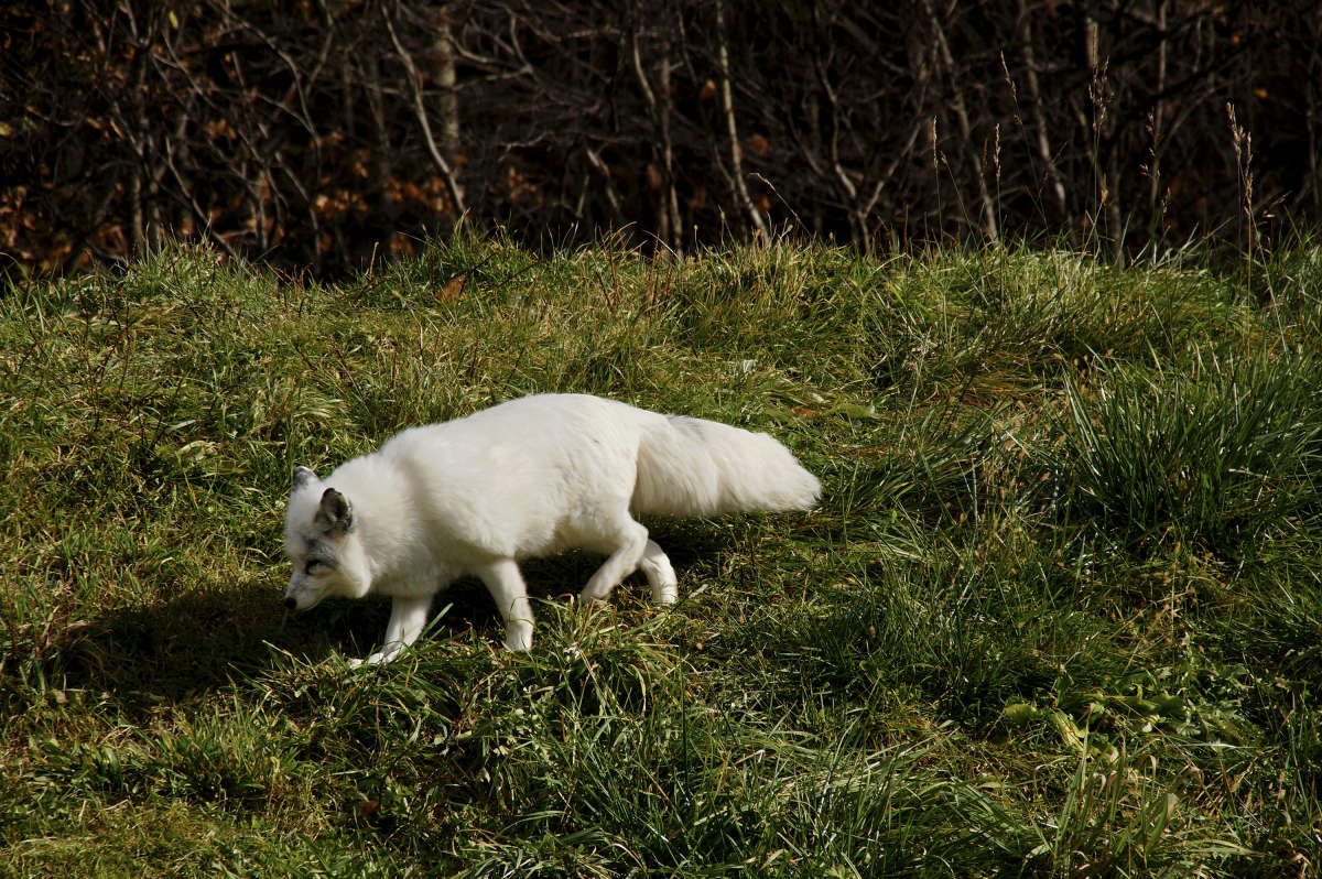 � ����� � �� ��������� ����� �������  �� PhotoGeek.ru #�������� ���