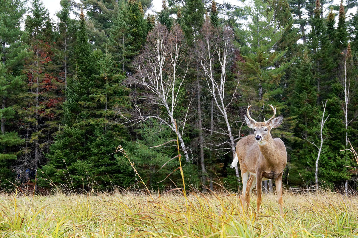 �������� ����� �������  �� PhotoGeek.ru #�������� ���