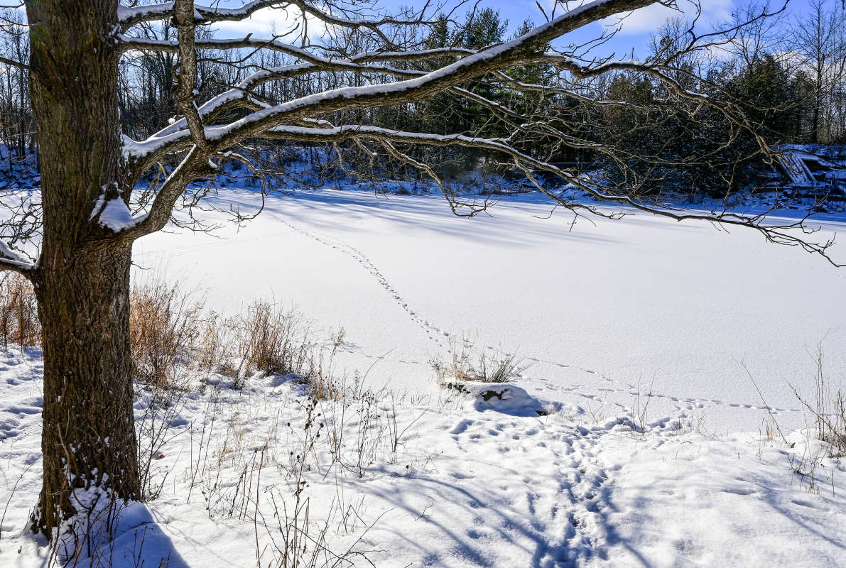 ������ ������ � ���� ������ ����� �������  �� PhotoGeek.ru #������ ��� �������