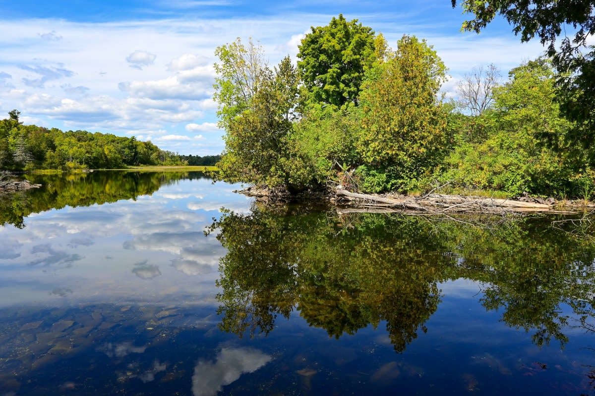 ��� ��� ����� - ������. ����� �������  �� PhotoGeek.ru #������ ��� �������