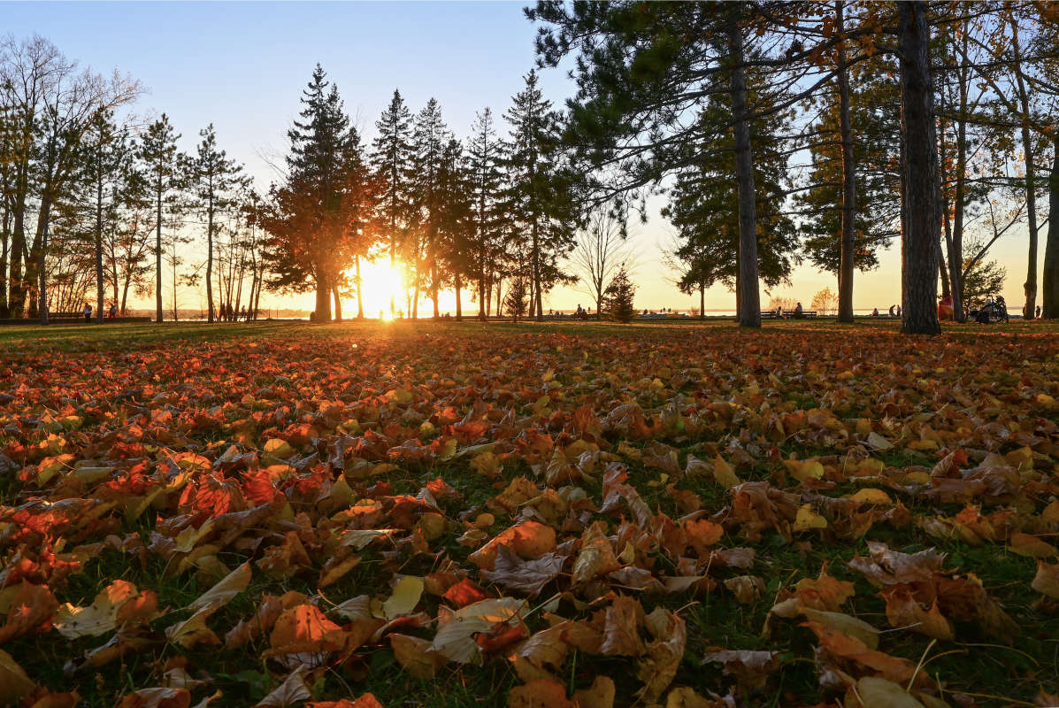 ������ ����� �������  �� PhotoGeek.ru #������ ��� �������