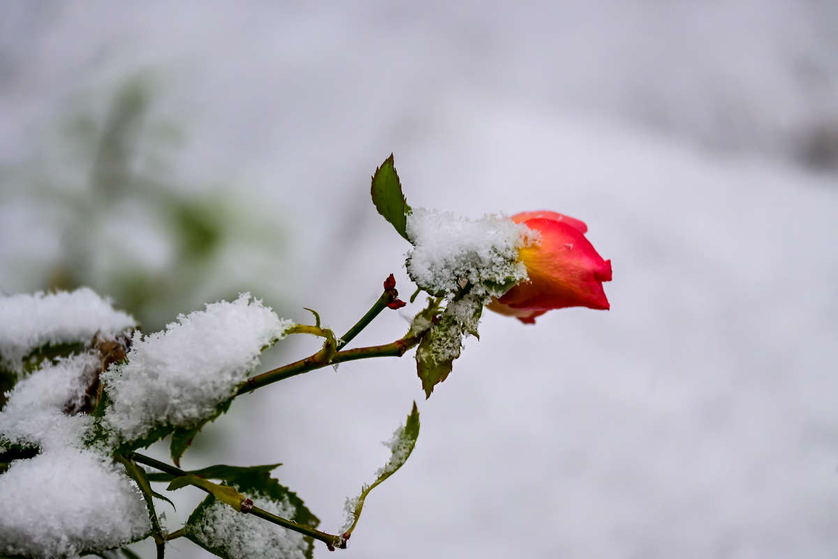 ����������� ����� �������  �� PhotoGeek.ru #������ ��� �������