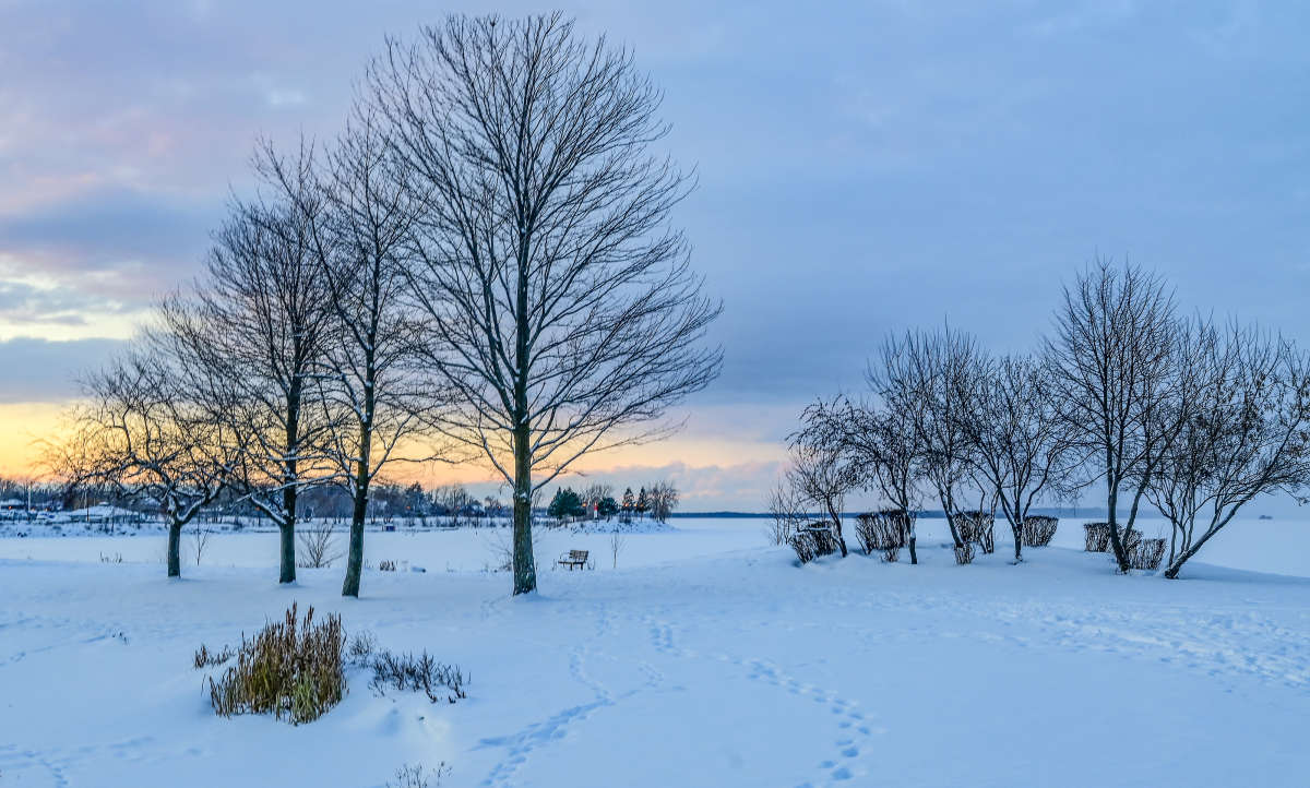 ������� ��� ���� ����� �������  �� PhotoGeek.ru #������ ��� �������