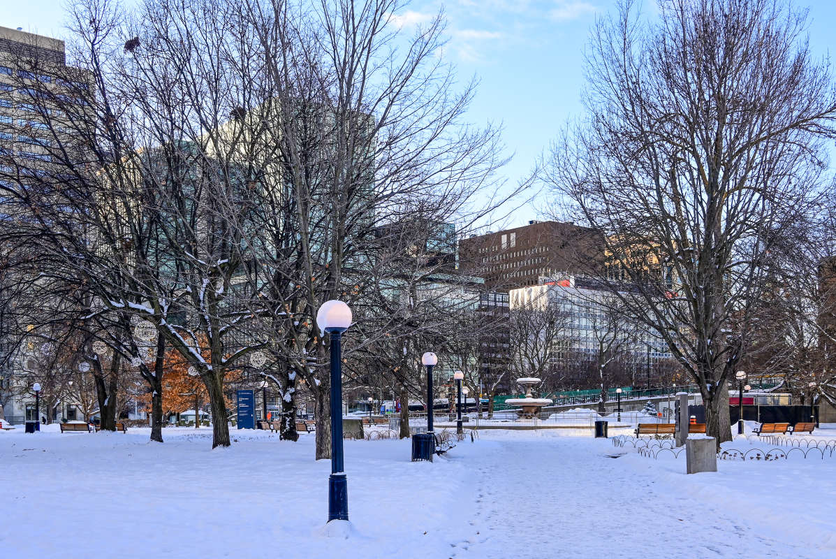������� ���� ����� ����� �������  �� PhotoGeek.ru #�����