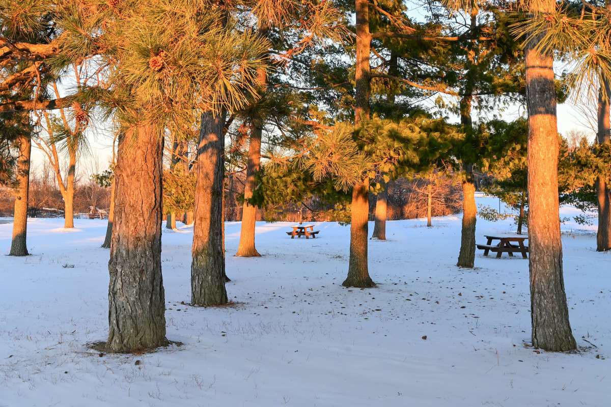 ���� �������� ����� �������  �� PhotoGeek.ru #������ ��� �������