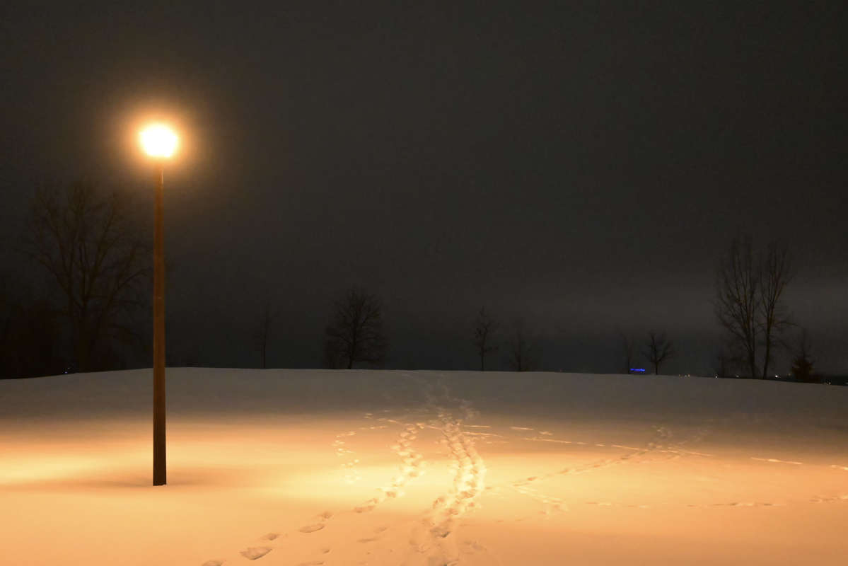 ������� ����� �������  �� PhotoGeek.ru #�������� ����������