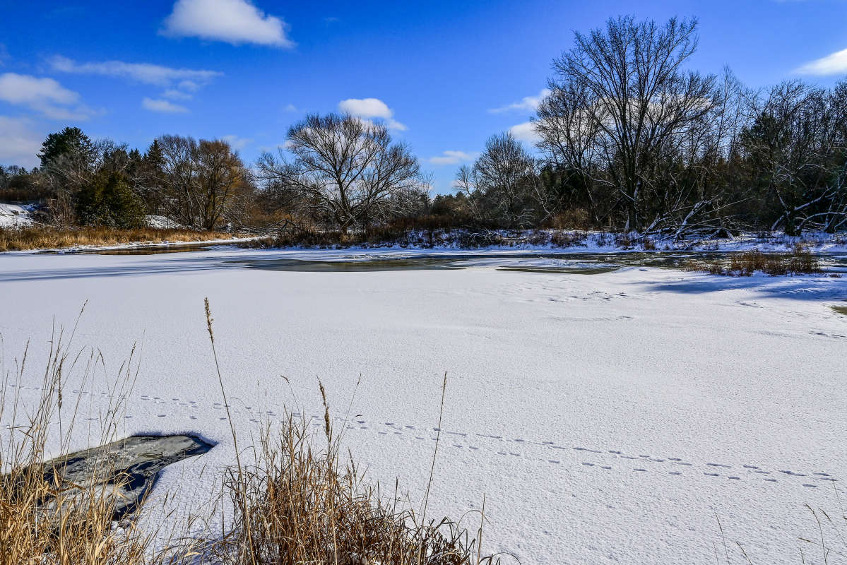 ����� � ����� ����� �������  �� PhotoGeek.ru #������ ��� �������