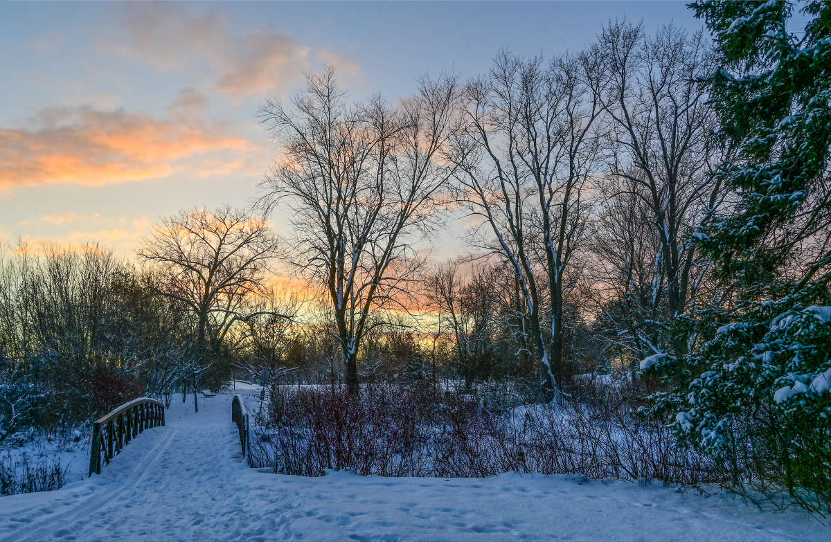 ���� ������� ������... ����� �������  �� PhotoGeek.ru #������ ��� �������