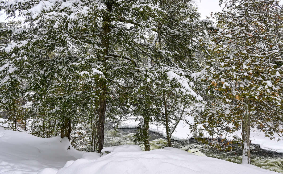 ���� � ������� ������ ����� �������  �� PhotoGeek.ru #������ ��� �������