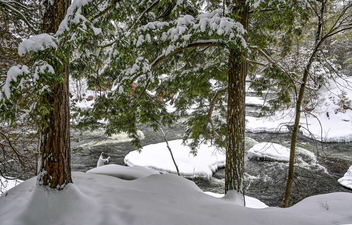 �� ������ ���� ����� �������  �� PhotoGeek.ru #������ ��� �������