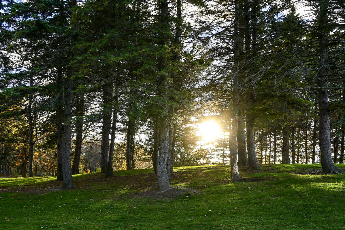 ��� ��� �����! ����� �������  �� PhotoGeek.ru #������ ��� �������