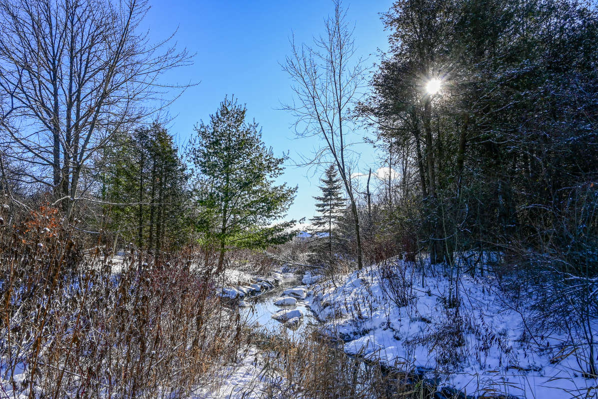 ������ ����� ����� �������  �� PhotoGeek.ru #������ ��� �������