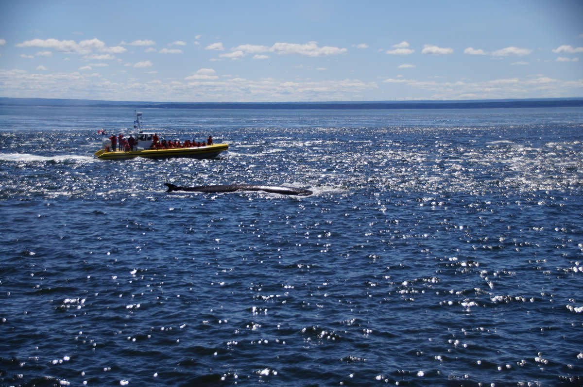 �� ����� ��������� ����� �������  �� PhotoGeek.ru #�������� ���