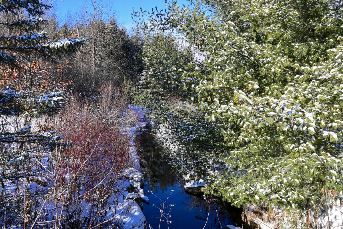 ��������� ����� ����� �������  �� PhotoGeek.ru #������ ��� �������