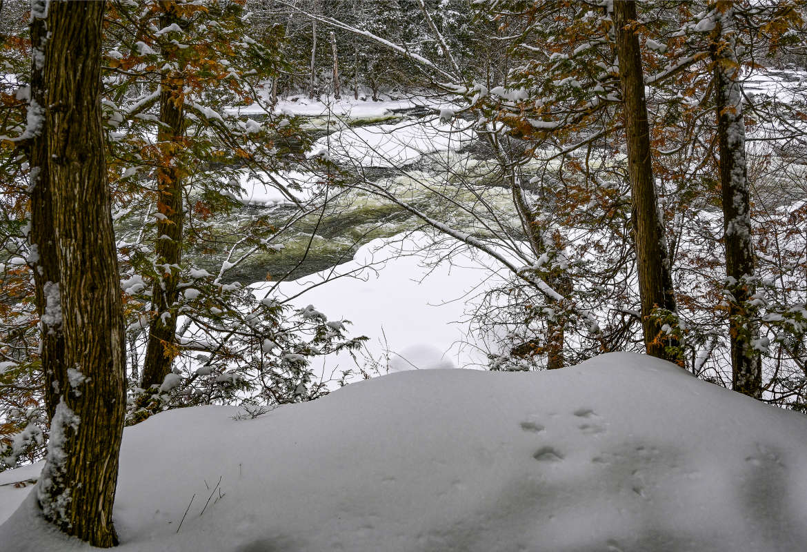 �� ����������� ���� ����� �������  �� PhotoGeek.ru #������ ��� �������