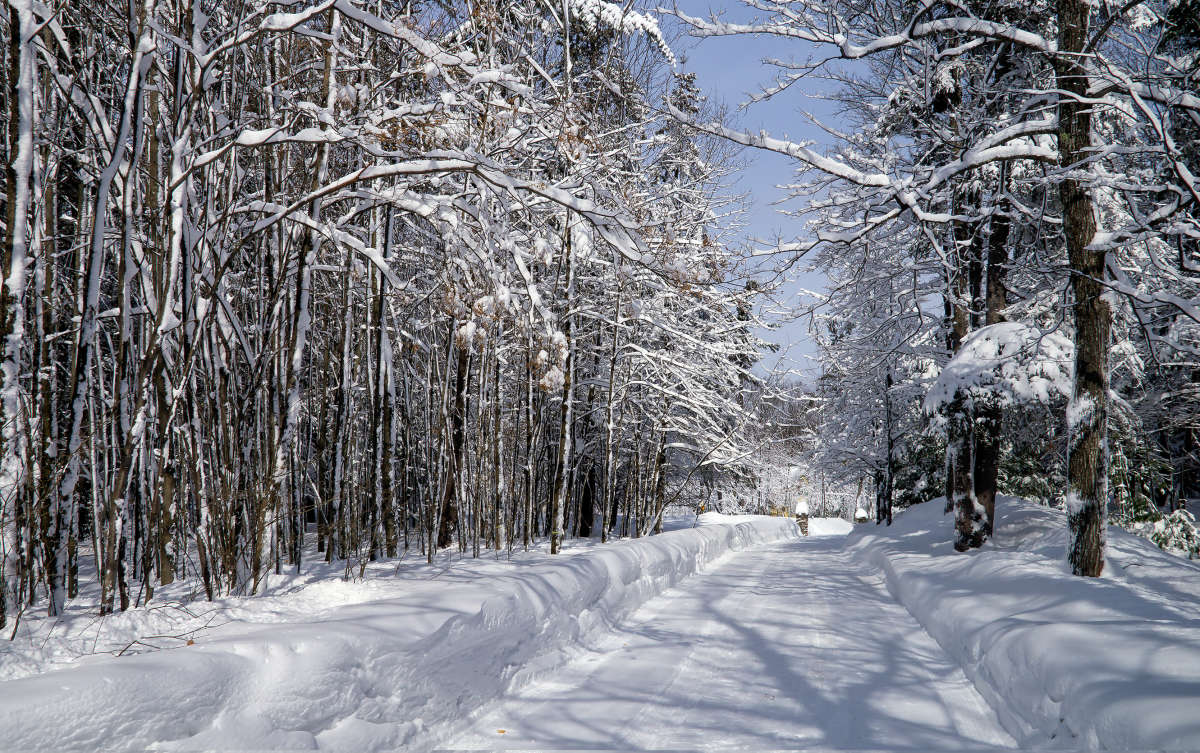 ������ ���� ����� �������  �� PhotoGeek.ru #������ ��� �������