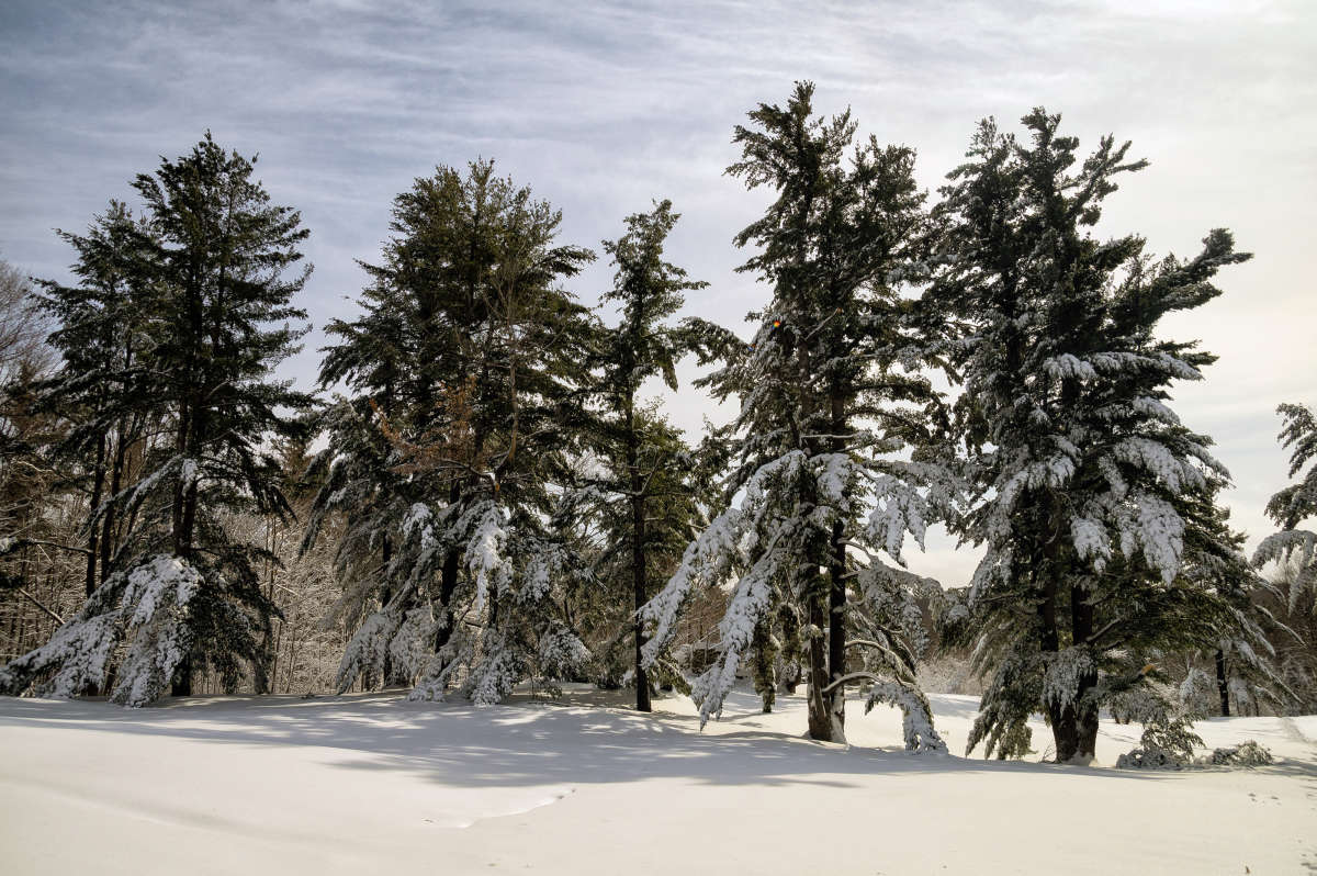 ��������� ����� �������  �� PhotoGeek.ru #������ ��� �������