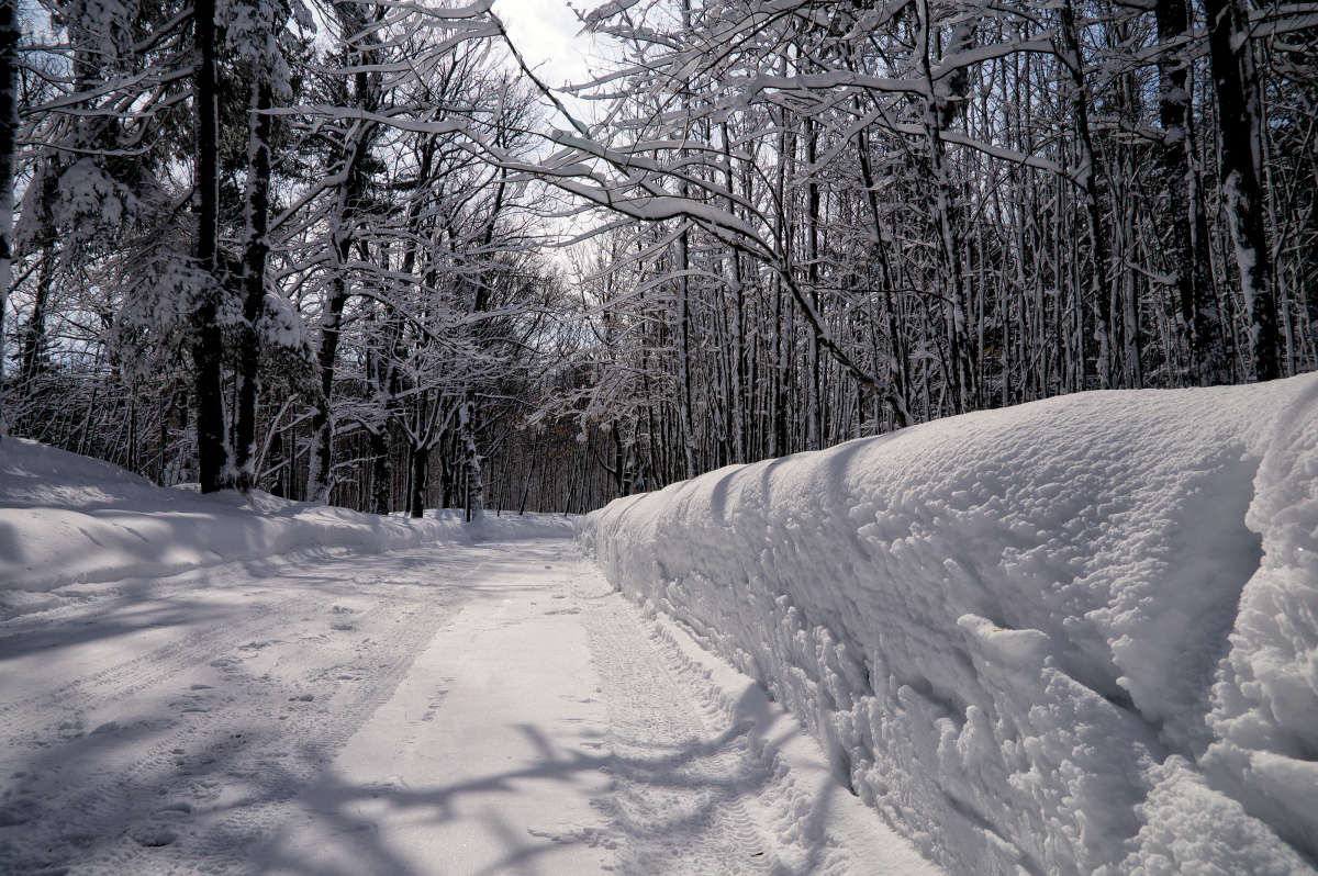 � ����� ���� ����� �������  �� PhotoGeek.ru #������ ��� �������