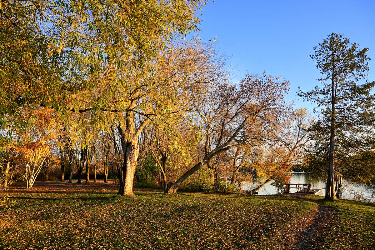 � ���� ���� �����-�� ����� ����� �������  �� PhotoGeek.ru #������ ��� �������