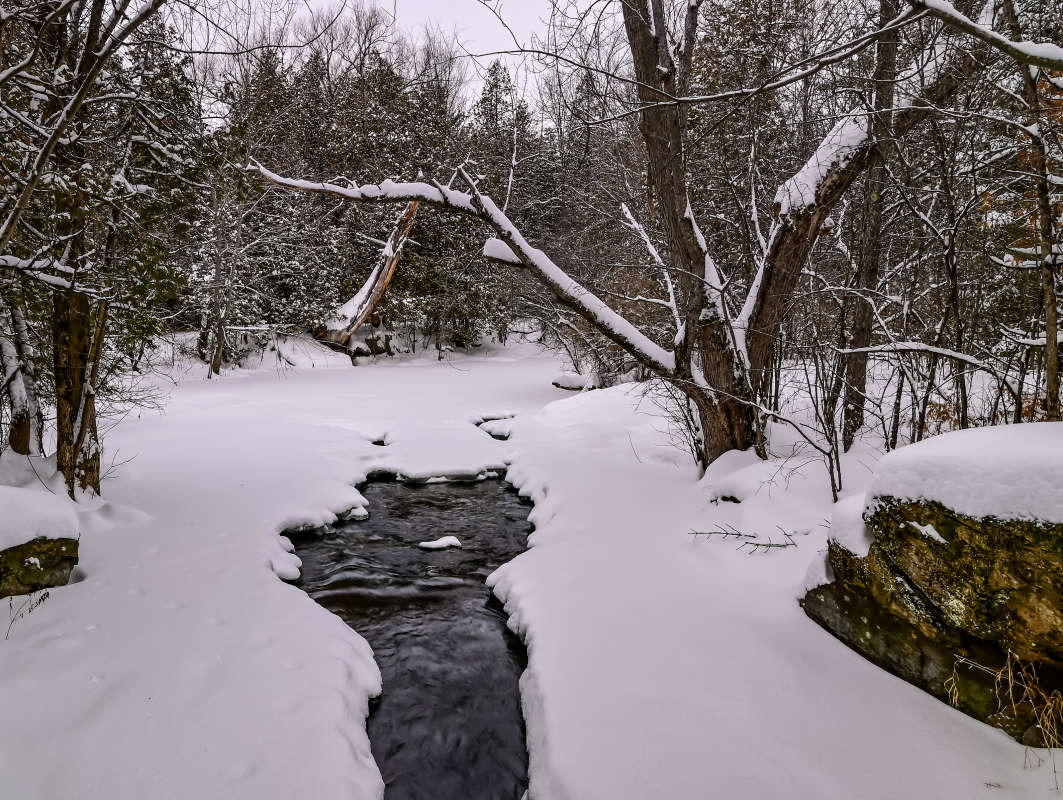 � ���� ��� ������ ����� �������  �� PhotoGeek.ru #������ ��� �������