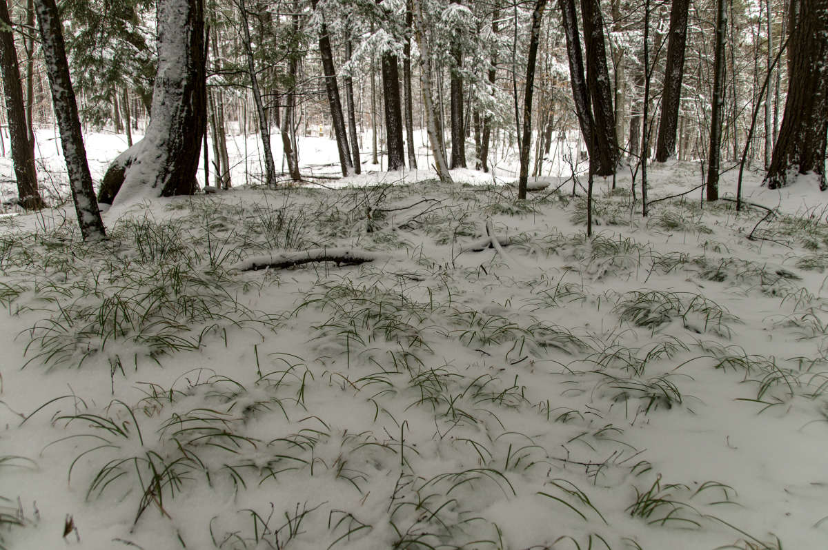 ����� ������ ����� �������  �� PhotoGeek.ru #������ ��� �������