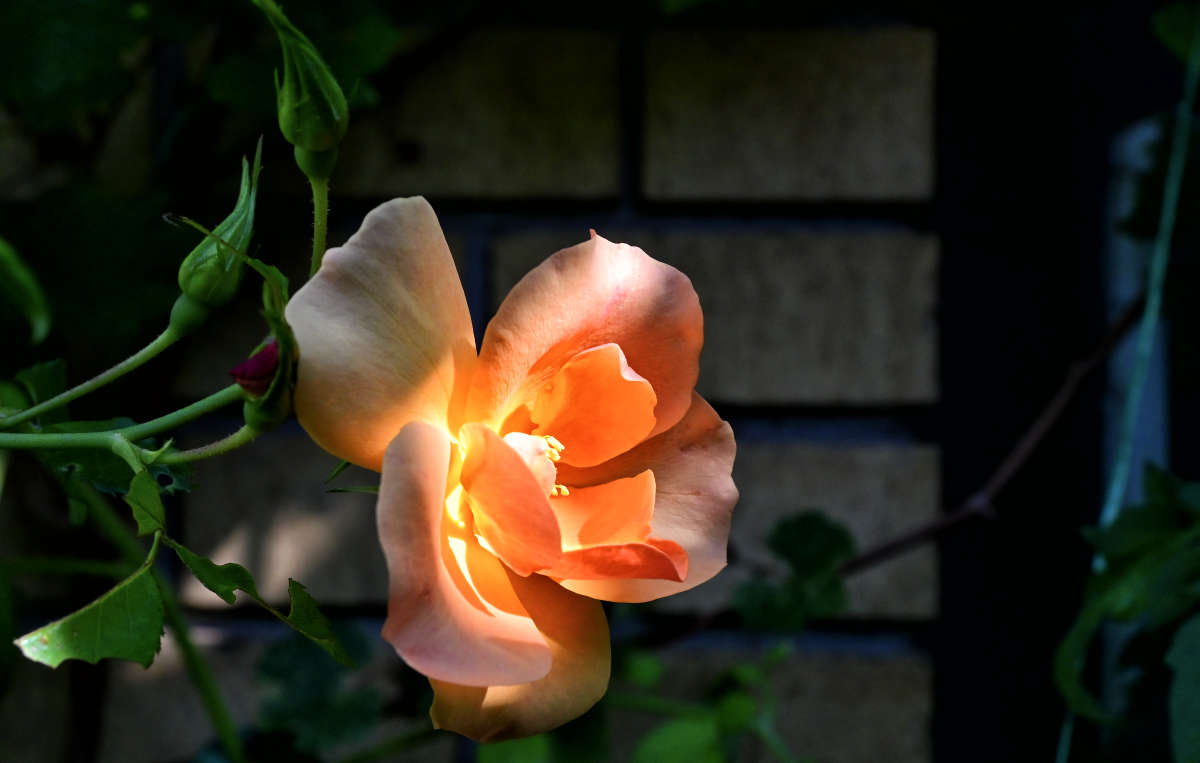 ������ ����� �������  �� PhotoGeek.ru #������ ��� �������