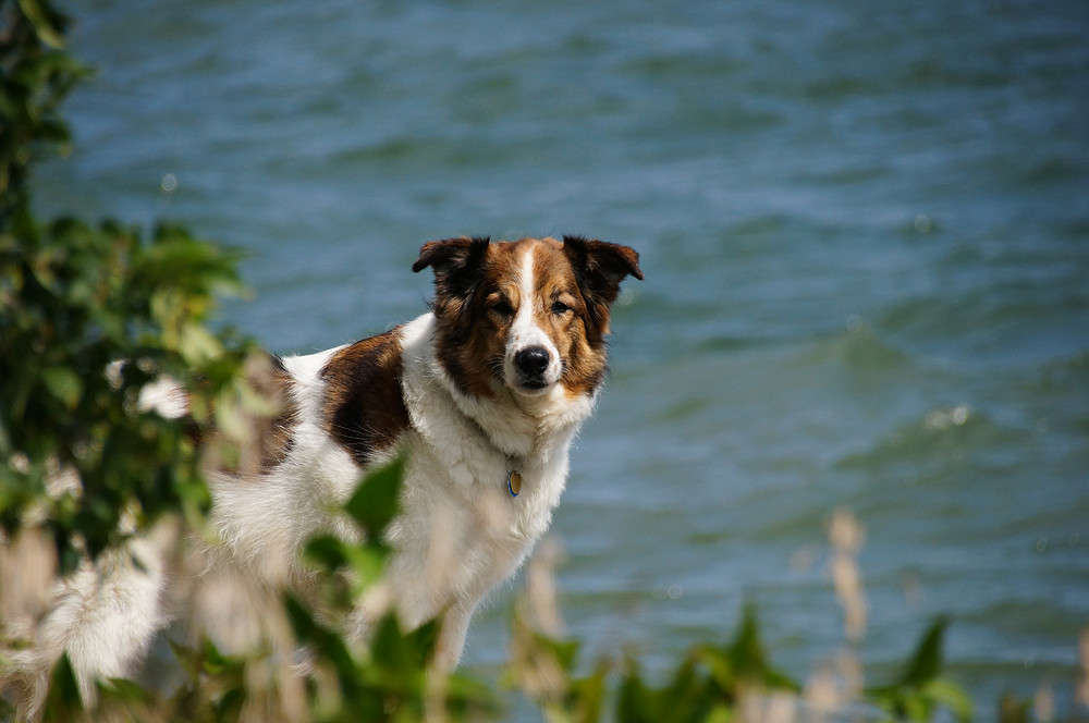 ���� ������ ����� �������  �� PhotoGeek.ru #�������� ���