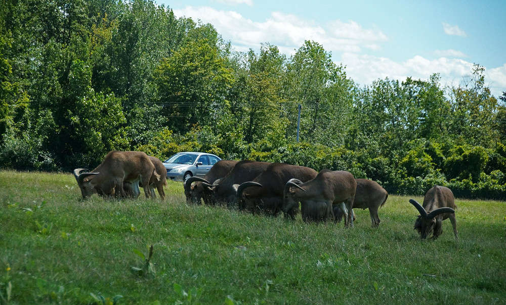 �������� ��������� ����� �������  �� PhotoGeek.ru #�������� ���