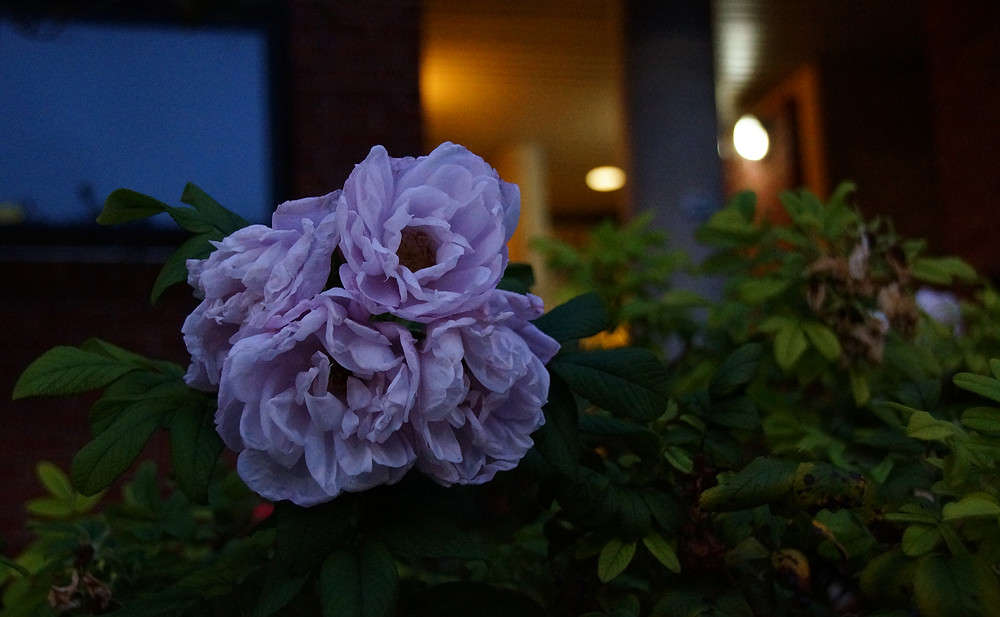 ����� �������� ����� �������  �� PhotoGeek.ru #�����