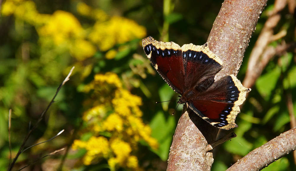 ��������� ����� �������  �� PhotoGeek.ru #�������� ���