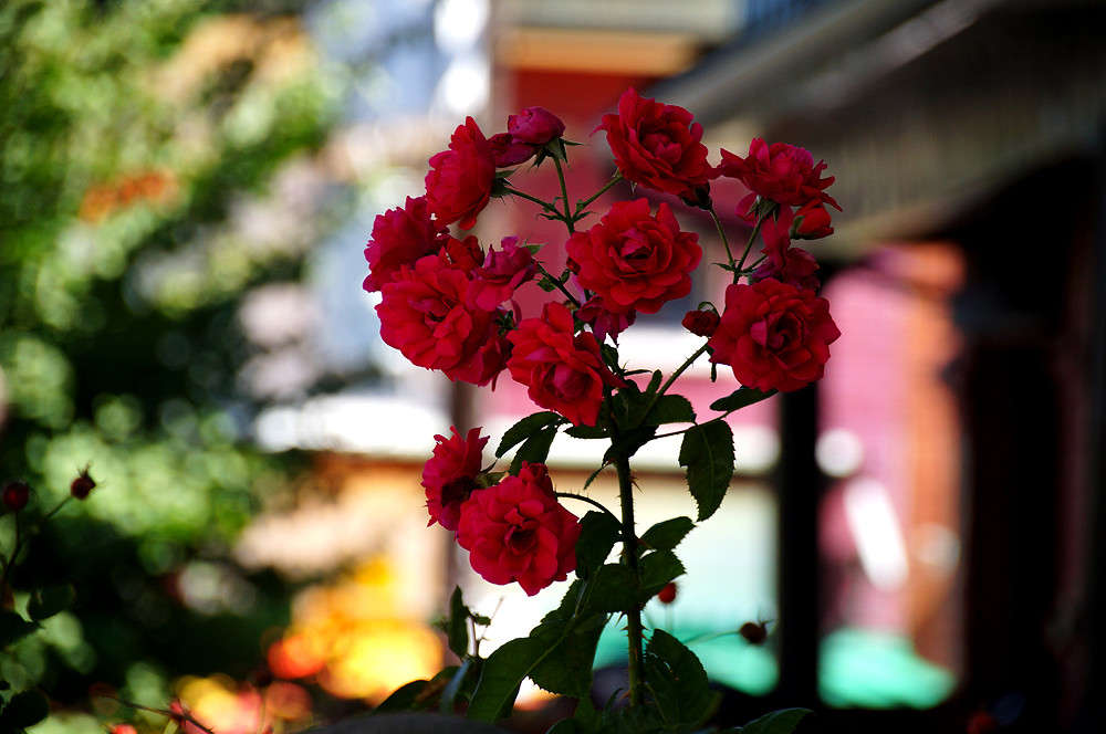 � ���� ��������� ����� ����� �������  �� PhotoGeek.ru #�����