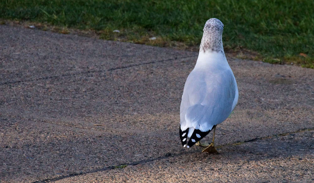 �� ������� ����� �������  �� PhotoGeek.ru #�������� ���