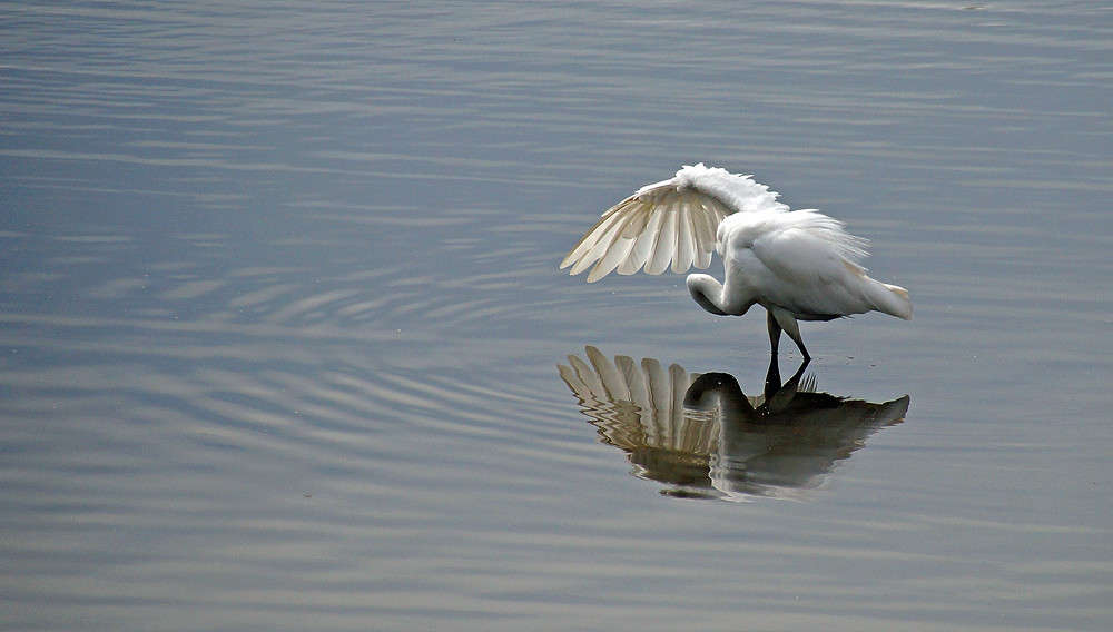 ����� �������� ���� ����� �������  �� PhotoGeek.ru #�������� ���