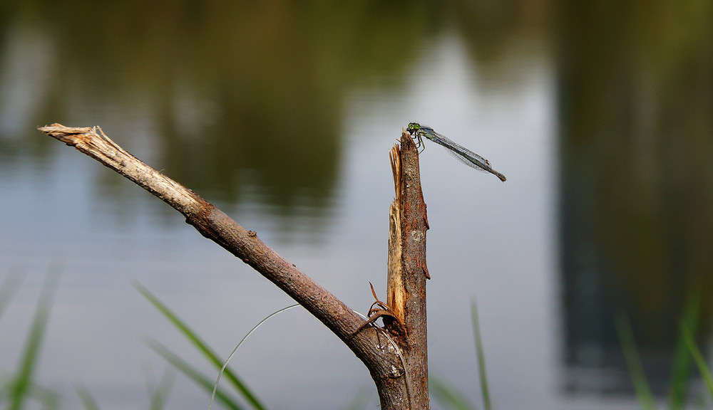 ���������� ����� �������  �� PhotoGeek.ru #�������� ���