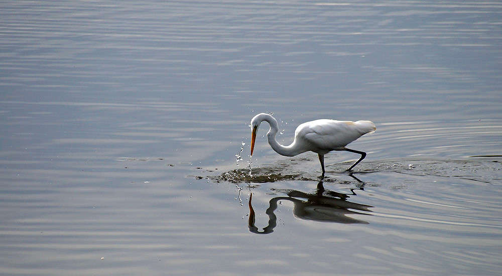 ������� � ����� ����� ����� �������  �� PhotoGeek.ru #�������� ���