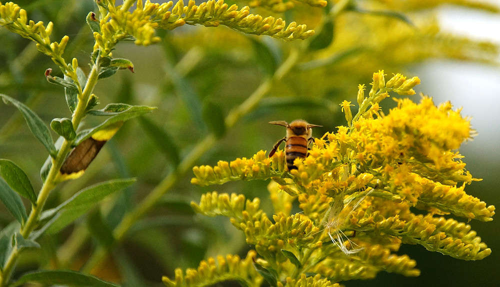 ���-���, �� �� - ���-��� ����� �������  �� PhotoGeek.ru #�������� ���