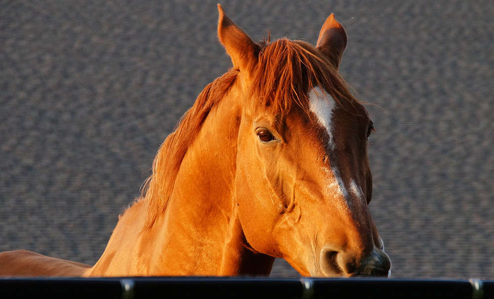 ������ ������ ����� �������  �� PhotoGeek.ru #�������� ���