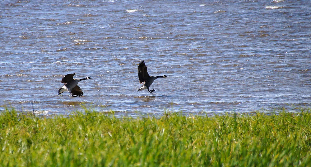 ������������ ���������� ����� �������  �� PhotoGeek.ru #�������� ��� #������ ��� �������