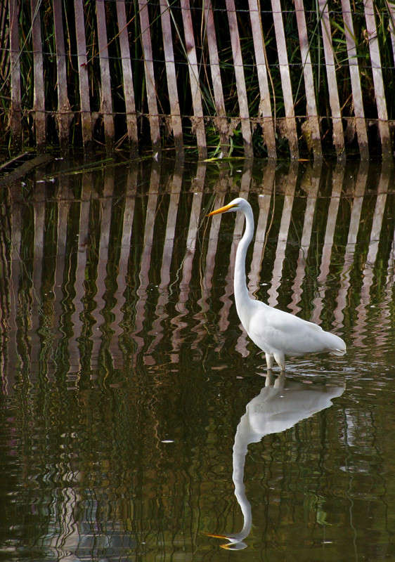 � ��������� ����� �������  �� PhotoGeek.ru #�������� ���