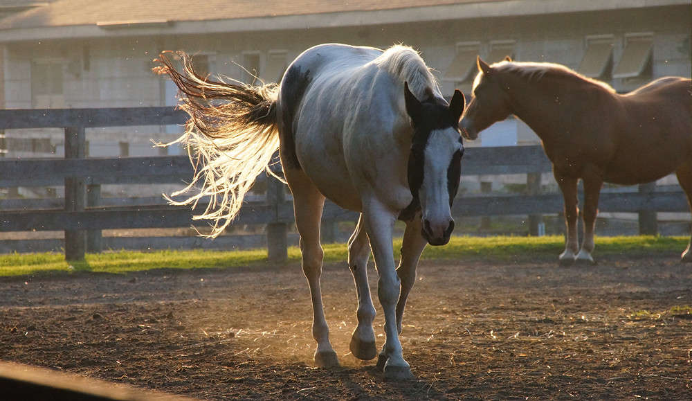 ��������� ������� ����� �������  �� PhotoGeek.ru #�������� ���