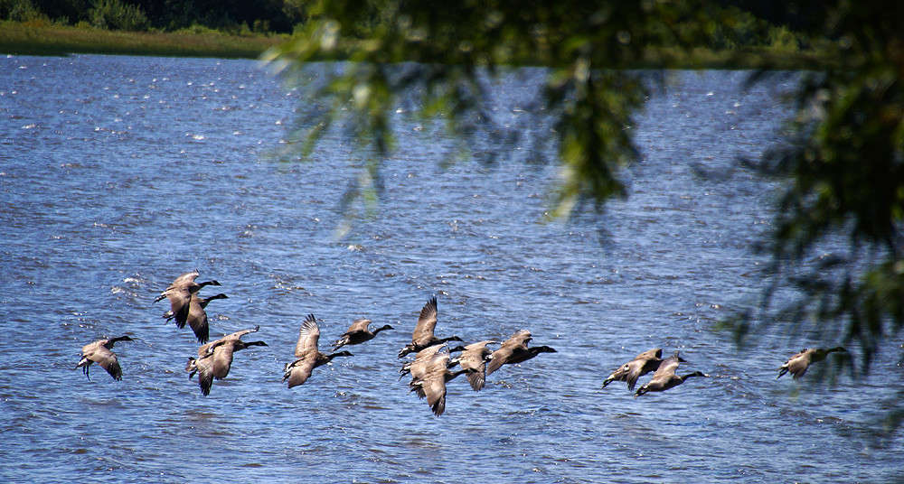 ���������� �������� ����� �������  �� PhotoGeek.ru #�������� ���