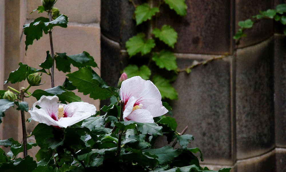 � ���� ����� ��������� ����� �������  �� PhotoGeek.ru #�����