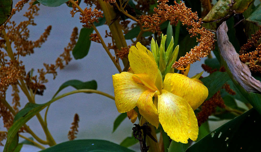 ��������� � ������� ����� �������  �� PhotoGeek.ru #����� #������ ��� �������