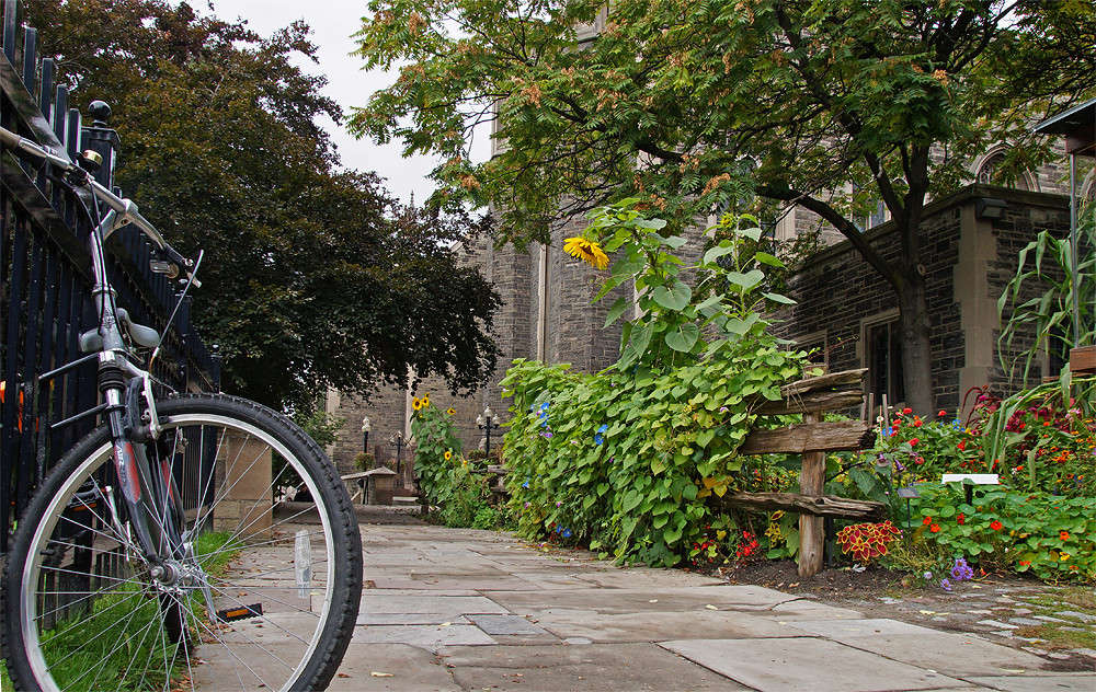 Hart House ����� �������  �� PhotoGeek.ru #�����