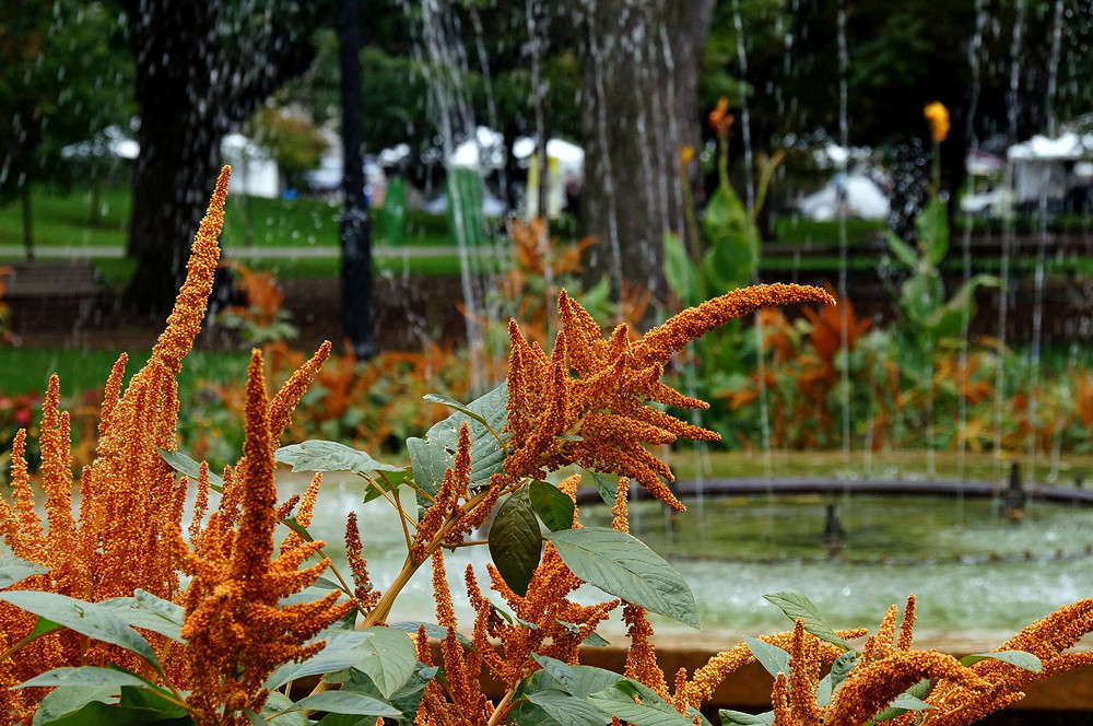 ������� ������� ����� �������  �� PhotoGeek.ru #�����