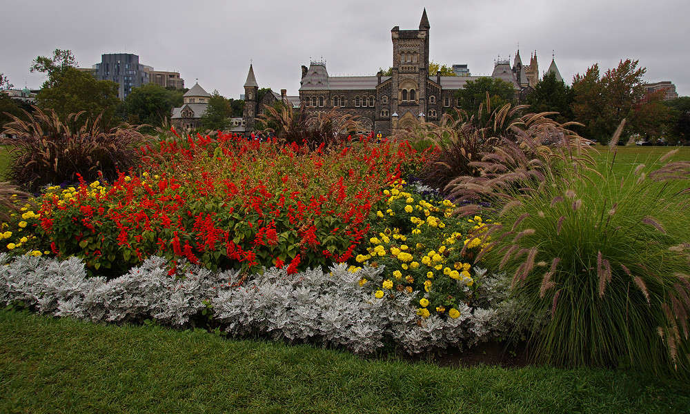 ����������� ����� �������  �� PhotoGeek.ru #�����