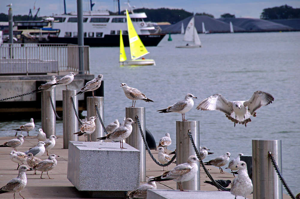 �� ������� ��������������� ����� �������  �� PhotoGeek.ru #�����